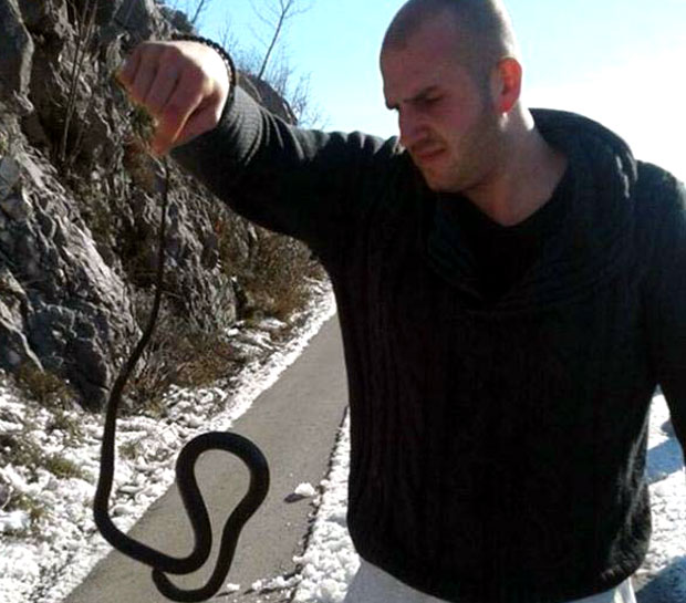 У Повији, близу Острога, на 12 степени испод нуле
и змија се заледила!